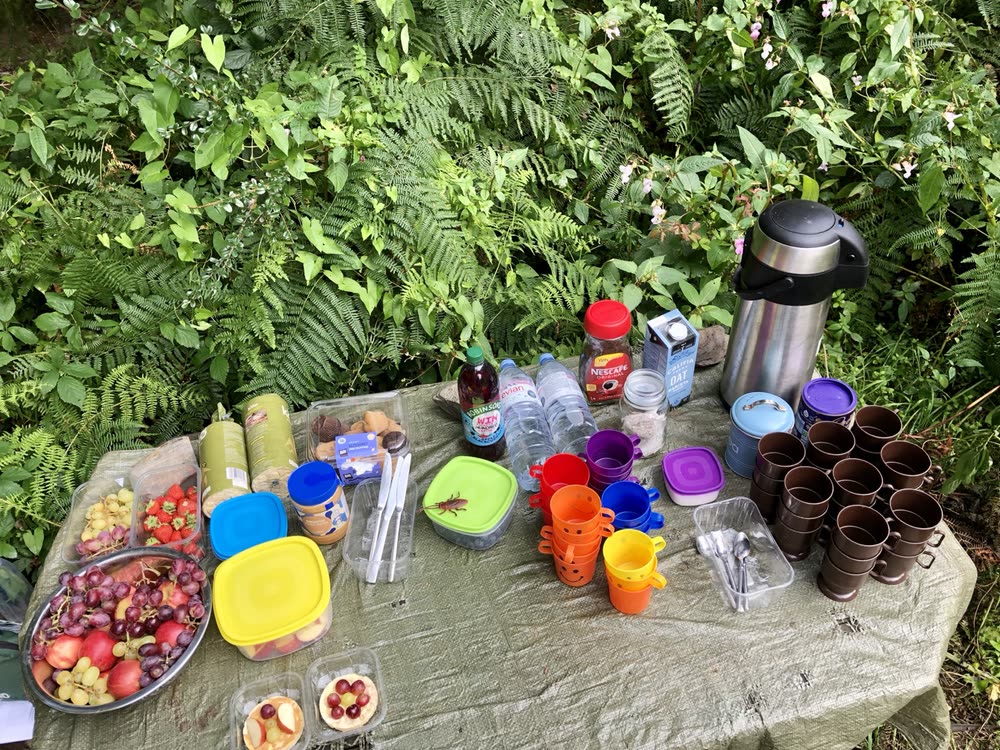Woodpeckers Forest School