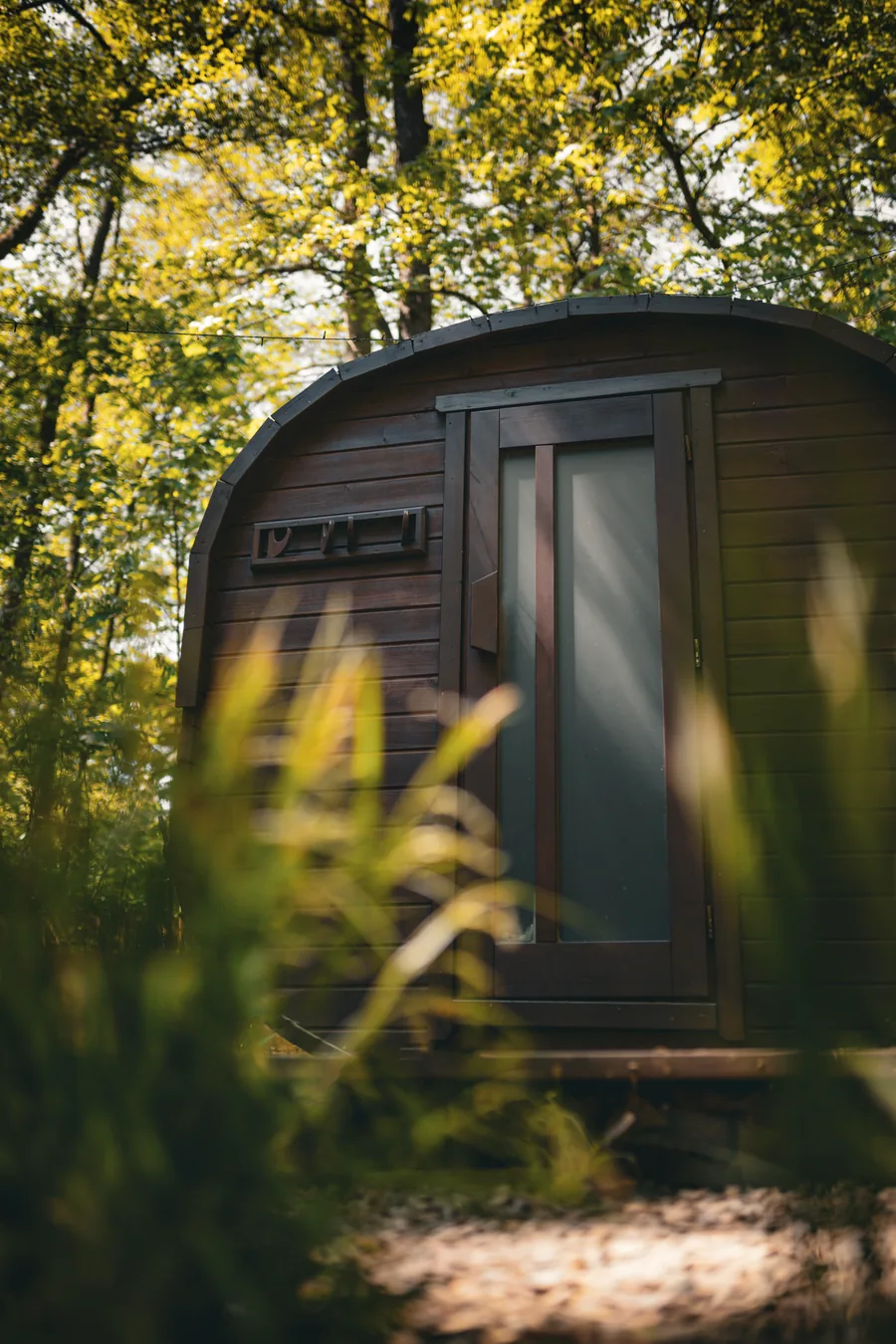 Sudová sauna mezi stromy